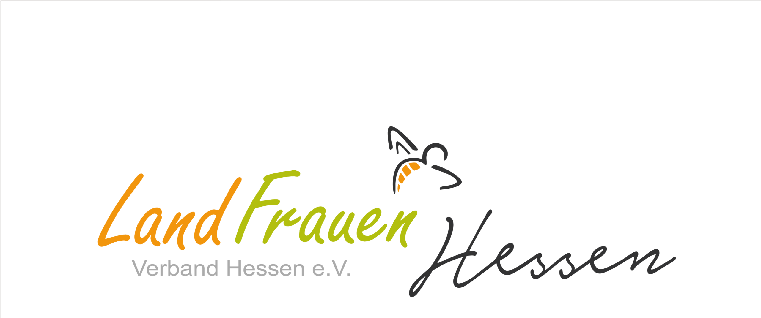 Meine Blog